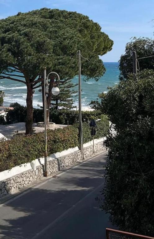 Fondazione Point Onlus *